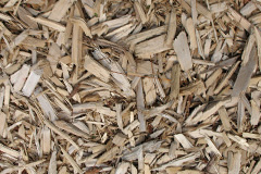 biomass boilers Leckhampton