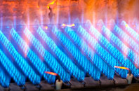 Leckhampton gas fired boilers